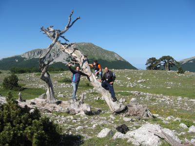 4 amici in Trekking sul Pollino