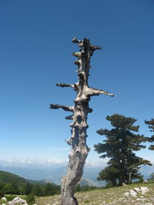 4 amici in Trekking sul Pollino