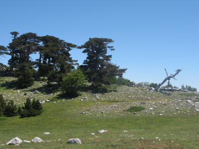 4 amici in Trekking sul Pollino