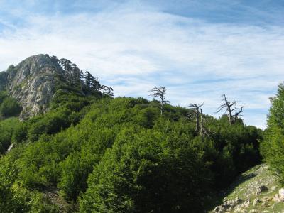 4 amici in Trekking sul Pollino