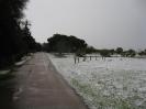 Sibari sotto la neve :: lungomare sotto la neve