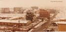 Sibari sotto la neve :: 1982 Vico Taranto