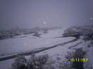 Sibari sotto la neve :: La neve su Sibari