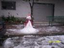Sibari sotto la neve :: La neve a Sibari