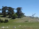 4 amici in Trekking sul Pollino