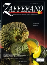 zafferano zafferano