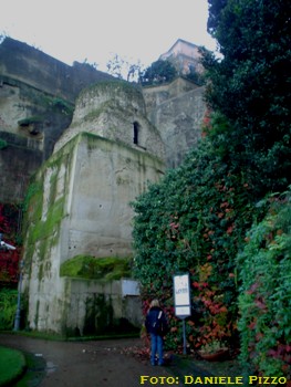 Image Image